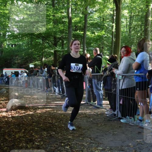28.09.2025 - 33. Volkslauf durch das schöne Alstertal Strokosch-Dieckow http://msf.ph/oto/8965876 28.09.2025 11:31:19 Ziel 3377 meine-sportfotos.de