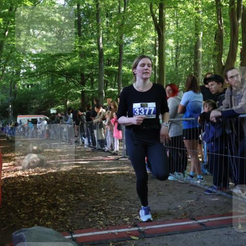 28.09.2025 - 33. Volkslauf durch das schöne Alstertal Strokosch-Dieckow http://msf.ph/oto/8965877 28.09.2025 11:31:20 Ziel 3377 meine-sportfotos.de