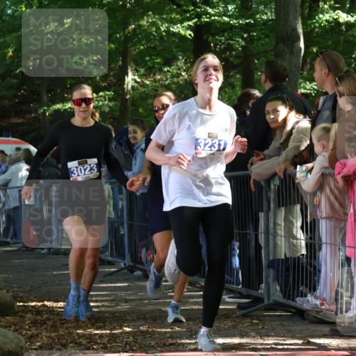 28.09.2025 - 33. Volkslauf durch das schöne Alstertal Strokosch-Dieckow http://msf.ph/oto/8965881 28.09.2025 11:31:29 Ziel 3022, 3023, 3125, 3231 meine-sportfotos.de
