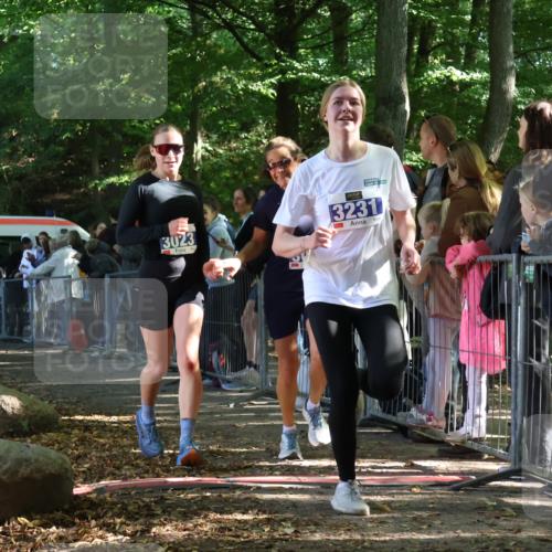 28.09.2025 - 33. Volkslauf durch das schöne Alstertal Strokosch-Dieckow http://msf.ph/oto/8965882 28.09.2025 11:31:29 Ziel 3022, 3023, 3125, 3231 meine-sportfotos.de