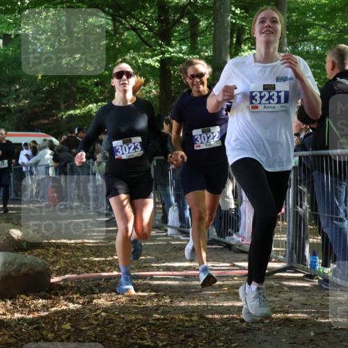 28.09.2025 - 33. Volkslauf durch das schöne Alstertal Strokosch-Dieckow http://msf.ph/oto/8965883 28.09.2025 11:31:30 Ziel 3022, 3023, 3125, 3231 meine-sportfotos.de