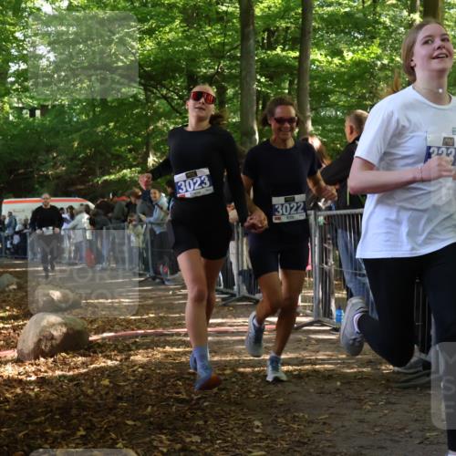 28.09.2025 - 33. Volkslauf durch das schöne Alstertal Strokosch-Dieckow http://msf.ph/oto/8965884 28.09.2025 11:31:30 Ziel 3022, 3023, 3125, 3231 meine-sportfotos.de