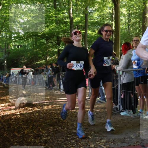 28.09.2025 - 33. Volkslauf durch das schöne Alstertal Strokosch-Dieckow http://msf.ph/oto/8965885 28.09.2025 11:31:31 Ziel 3022, 3023, 3125, 3231 meine-sportfotos.de