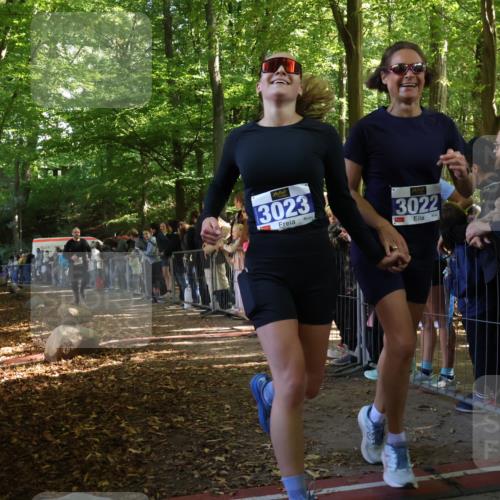 28.09.2025 - 33. Volkslauf durch das schöne Alstertal Strokosch-Dieckow http://msf.ph/oto/8965886 28.09.2025 11:31:31 Ziel 3022, 3023, 3125, 3231 meine-sportfotos.de
