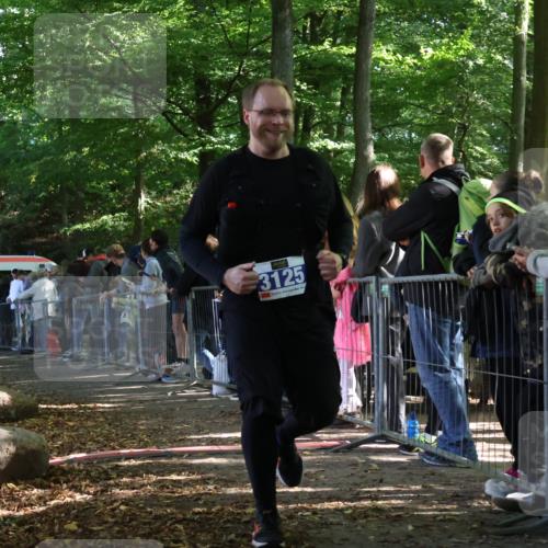28.09.2025 - 33. Volkslauf durch das schöne Alstertal Strokosch-Dieckow http://msf.ph/oto/8965889 28.09.2025 11:31:35 Ziel 3125 meine-sportfotos.de
