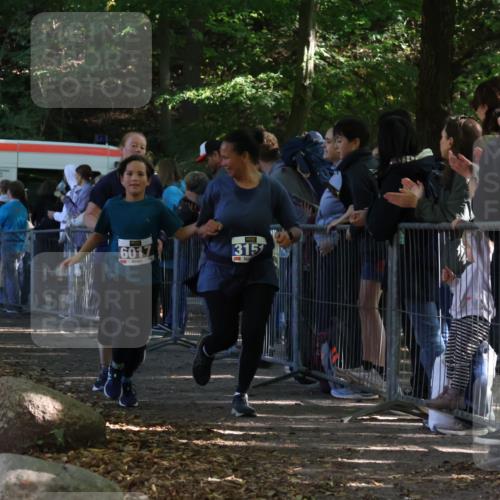 28.09.2025 - 33. Volkslauf durch das schöne Alstertal Strokosch-Dieckow http://msf.ph/oto/8965892 28.09.2025 11:31:52 Ziel 1516, 3147, 3151 meine-sportfotos.de