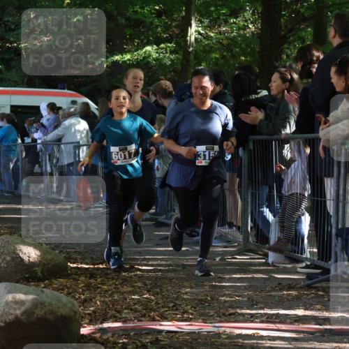 28.09.2025 - 33. Volkslauf durch das schöne Alstertal Strokosch-Dieckow http://msf.ph/oto/8965893 28.09.2025 11:31:53 Ziel 1516, 3147, 3151 meine-sportfotos.de