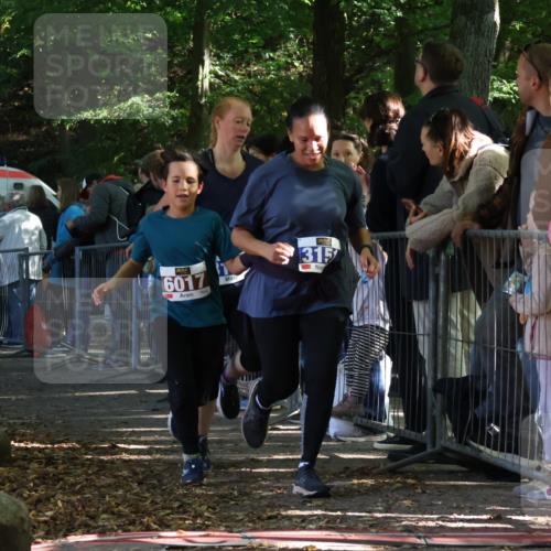 28.09.2025 - 33. Volkslauf durch das schöne Alstertal Strokosch-Dieckow http://msf.ph/oto/8965894 28.09.2025 11:31:53 Ziel 1516, 3147, 3151 meine-sportfotos.de