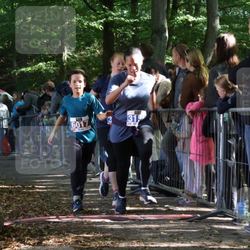 28.09.2025 - 33. Volkslauf durch das schöne Alstertal Strokosch-Dieckow http://msf.ph/oto/8965895 28.09.2025 11:31:54 Ziel 1516, 3147, 3151 meine-sportfotos.de