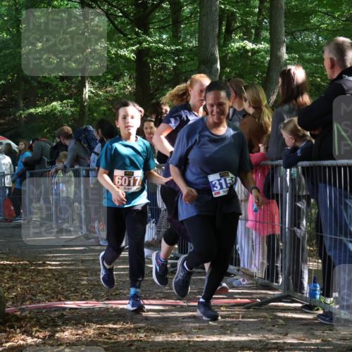 28.09.2025 - 33. Volkslauf durch das schöne Alstertal Strokosch-Dieckow http://msf.ph/oto/8965896 28.09.2025 11:31:54 Ziel 1516, 3147, 3151 meine-sportfotos.de