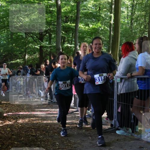 28.09.2025 - 33. Volkslauf durch das schöne Alstertal Strokosch-Dieckow http://msf.ph/oto/8965904 28.09.2025 11:31:55 Ziel 1516, 3147, 3404, 3933 meine-sportfotos.de