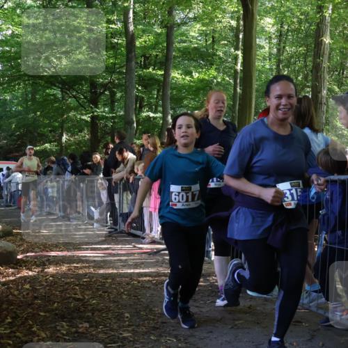28.09.2025 - 33. Volkslauf durch das schöne Alstertal Strokosch-Dieckow http://msf.ph/oto/8965910 28.09.2025 11:31:56 Ziel 1516, 3147, 3329, 3404, 3933 meine-sportfotos.de