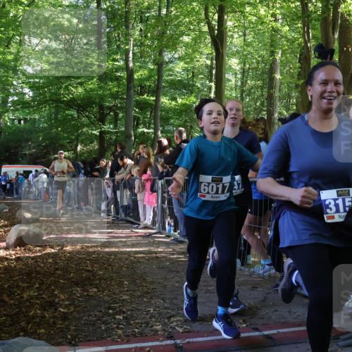 28.09.2025 - 33. Volkslauf durch das schöne Alstertal Strokosch-Dieckow http://msf.ph/oto/8965916 28.09.2025 11:31:56 Ziel 1516, 3147, 3329, 3404, 3933 meine-sportfotos.de