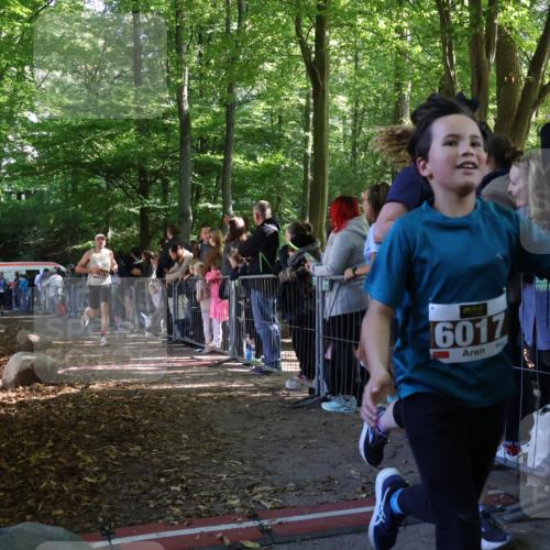 28.09.2025 - 33. Volkslauf durch das schöne Alstertal Strokosch-Dieckow http://msf.ph/oto/8965920 28.09.2025 11:31:56 Ziel 1516, 3147, 3329, 3404, 3933 meine-sportfotos.de