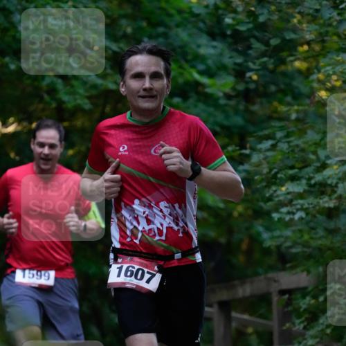 28.09.2025 - 33. Volkslauf durch das schöne Alstertal Patografie http://msf.ph/oto/8965929 28.09.2025 09:12:54 Laufen 1599, 1607 meine-sportfotos.de