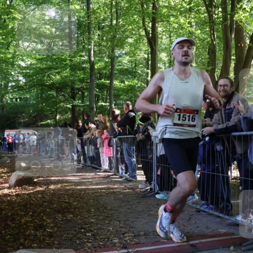 28.09.2025 - 33. Volkslauf durch das schöne Alstertal Strokosch-Dieckow http://msf.ph/oto/8965941 28.09.2025 11:31:59 Ziel 1516, 3222, 3329, 3404, 3933 meine-sportfotos.de