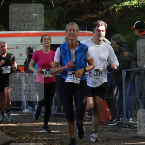 28.09.2025 - 33. Volkslauf durch das schöne Alstertal Strokosch-Dieckow http://msf.ph/oto/8965944 28.09.2025 11:32:00 Ziel 3222, 3329, 3404, 3933 meine-sportfotos.de