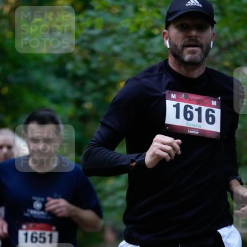 28.09.2025 - 33. Volkslauf durch das schöne Alstertal Patografie http://msf.ph/oto/8965949 28.09.2025 09:13:32 Laufen 1651, 1616 meine-sportfotos.de