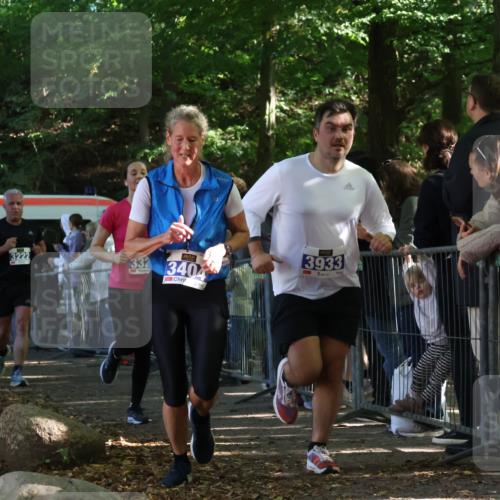 28.09.2025 - 33. Volkslauf durch das schöne Alstertal Strokosch-Dieckow http://msf.ph/oto/8965952 28.09.2025 11:32:03 Ziel 1521, 3222, 3329, 3404, 3933 meine-sportfotos.de