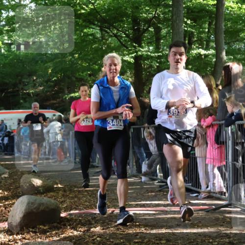 28.09.2025 - 33. Volkslauf durch das schöne Alstertal Strokosch-Dieckow http://msf.ph/oto/8965962 28.09.2025 11:32:04 Ziel 1521, 3222, 3329, 3404, 3933 meine-sportfotos.de