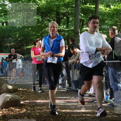28.09.2025 - 33. Volkslauf durch das schöne Alstertal Strokosch-Dieckow http://msf.ph/oto/8965967 28.09.2025 11:32:04 Ziel 1521, 3222, 3329, 3404, 3933 meine-sportfotos.de