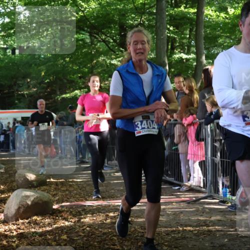 28.09.2025 - 33. Volkslauf durch das schöne Alstertal Strokosch-Dieckow http://msf.ph/oto/8965971 28.09.2025 11:32:04 Ziel 1521, 3222, 3329, 3404, 3933 meine-sportfotos.de