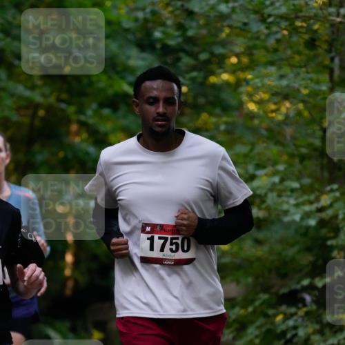 28.09.2025 - 33. Volkslauf durch das schöne Alstertal Patografie http://msf.ph/oto/8965973 28.09.2025 09:14:27 Laufen 1750 meine-sportfotos.de