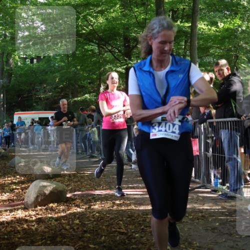 28.09.2025 - 33. Volkslauf durch das schöne Alstertal Strokosch-Dieckow http://msf.ph/oto/8965976 28.09.2025 11:32:05 Ziel 1521, 3222, 3324, 3329, 3346, 3404, 3933 meine-sportfotos.de