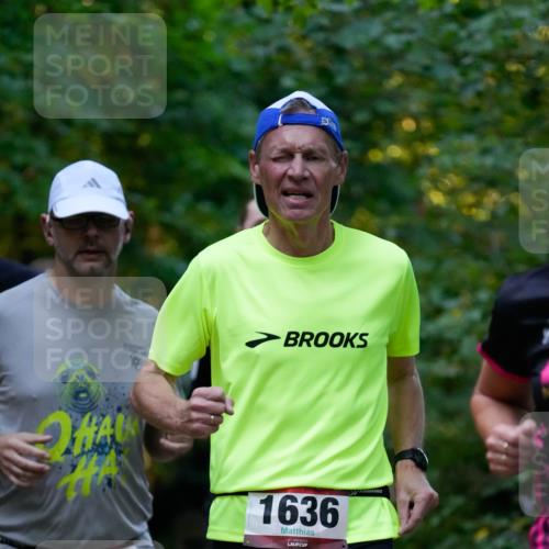 28.09.2025 - 33. Volkslauf durch das schöne Alstertal Patografie http://msf.ph/oto/8965980 28.09.2025 09:14:39 Laufen 1639, 1636 meine-sportfotos.de