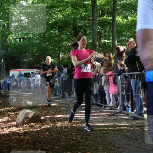 28.09.2025 - 33. Volkslauf durch das schöne Alstertal Strokosch-Dieckow http://msf.ph/oto/8965982 28.09.2025 11:32:06 Ziel 1521, 3222, 3324, 3329, 3346 meine-sportfotos.de