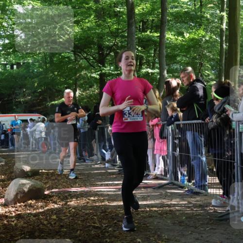 28.09.2025 - 33. Volkslauf durch das schöne Alstertal Strokosch-Dieckow http://msf.ph/oto/8965986 28.09.2025 11:32:06 Ziel 1521, 3222, 3324, 3329, 3346 meine-sportfotos.de