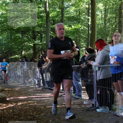 28.09.2025 - 33. Volkslauf durch das schöne Alstertal Strokosch-Dieckow http://msf.ph/oto/8966001 28.09.2025 11:32:08 Ziel 1521, 3222, 3255, 3324, 3342, 3346 meine-sportfotos.de