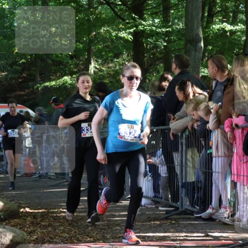 28.09.2025 - 33. Volkslauf durch das schöne Alstertal Strokosch-Dieckow http://msf.ph/oto/8966044 28.09.2025 11:32:13 Ziel 3097, 3255, 3324, 3342, 3346, 3347 meine-sportfotos.de