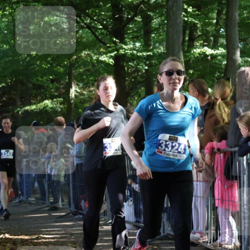 28.09.2025 - 33. Volkslauf durch das schöne Alstertal Strokosch-Dieckow http://msf.ph/oto/8966047 28.09.2025 11:32:14 Ziel 3097, 3255, 3324, 3342, 3346, 3347 meine-sportfotos.de