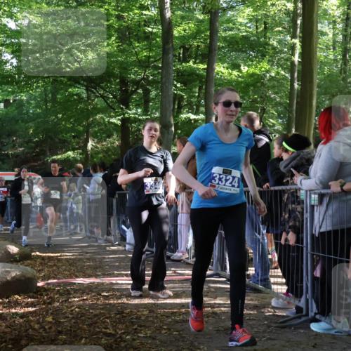 28.09.2025 - 33. Volkslauf durch das schöne Alstertal Strokosch-Dieckow http://msf.ph/oto/8966053 28.09.2025 11:32:14 Ziel 3097, 3255, 3324, 3342, 3346, 3347 meine-sportfotos.de