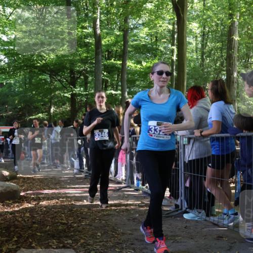 28.09.2025 - 33. Volkslauf durch das schöne Alstertal Strokosch-Dieckow http://msf.ph/oto/8966058 28.09.2025 11:32:15 Ziel 3097, 3255, 3324, 3342, 3346, 3347 meine-sportfotos.de