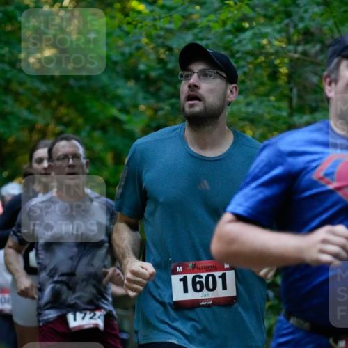 28.09.2025 - 33. Volkslauf durch das schöne Alstertal Patografie http://msf.ph/oto/8966066 28.09.2025 09:18:13 Laufen 0, 1724, 1601 meine-sportfotos.de