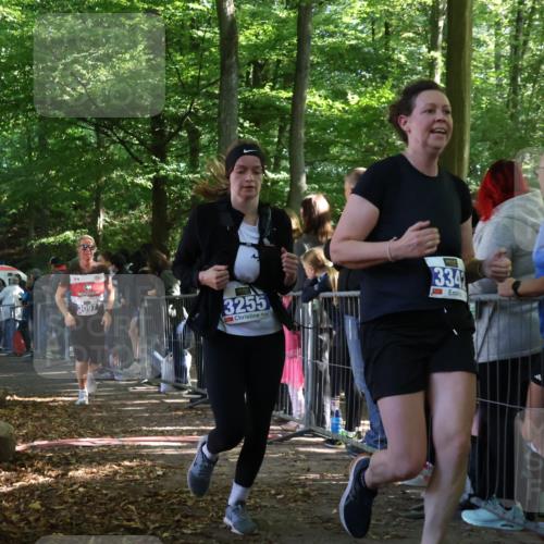 28.09.2025 - 33. Volkslauf durch das schöne Alstertal Strokosch-Dieckow http://msf.ph/oto/8966084 28.09.2025 11:32:18 Ziel 3097, 3177, 3255, 3342, 3347 meine-sportfotos.de