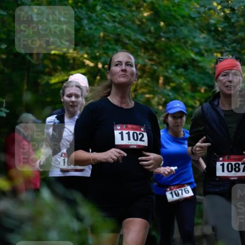 28.09.2025 - 33. Volkslauf durch das schöne Alstertal Patografie http://msf.ph/oto/8966089 28.09.2025 09:19:21 Laufen 1102, 1076, 1087 meine-sportfotos.de
