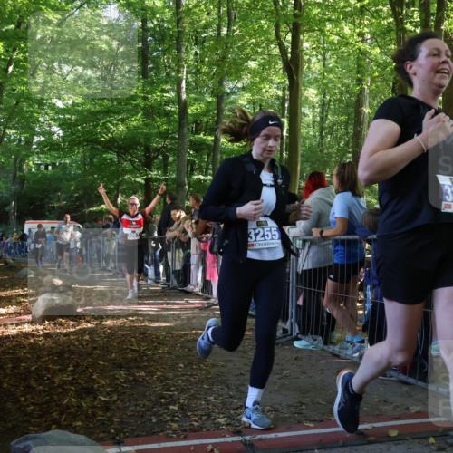 28.09.2025 - 33. Volkslauf durch das schöne Alstertal Strokosch-Dieckow http://msf.ph/oto/8966096 28.09.2025 11:32:19 Ziel 3097, 3175, 3177, 3347 meine-sportfotos.de