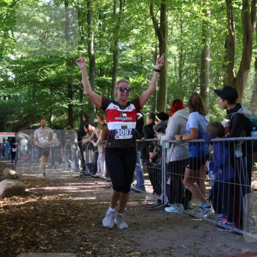 28.09.2025 - 33. Volkslauf durch das schöne Alstertal Strokosch-Dieckow http://msf.ph/oto/8966117 28.09.2025 11:32:21 Ziel 3069, 3097, 3175, 3177, 3347 meine-sportfotos.de