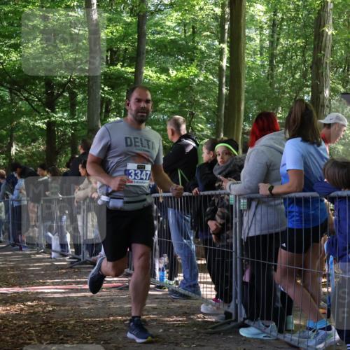 28.09.2025 - 33. Volkslauf durch das schöne Alstertal Strokosch-Dieckow http://msf.ph/oto/8966139 28.09.2025 11:32:22 Ziel 3069, 3175, 3177, 3347 meine-sportfotos.de