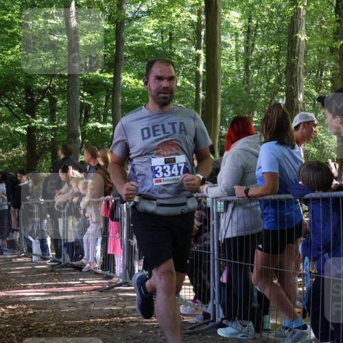 28.09.2025 - 33. Volkslauf durch das schöne Alstertal Strokosch-Dieckow http://msf.ph/oto/8966144 28.09.2025 11:32:23 Ziel 3069, 3175, 3177, 3347 meine-sportfotos.de