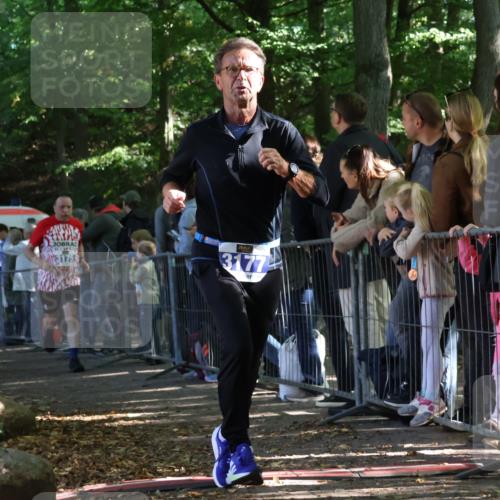 28.09.2025 - 33. Volkslauf durch das schöne Alstertal Strokosch-Dieckow http://msf.ph/oto/8966153 28.09.2025 11:32:25 Ziel 3069, 3175, 3177 meine-sportfotos.de