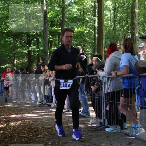 28.09.2025 - 33. Volkslauf durch das schöne Alstertal Strokosch-Dieckow http://msf.ph/oto/8966158 28.09.2025 11:32:26 Ziel 3069, 3175, 3177 meine-sportfotos.de