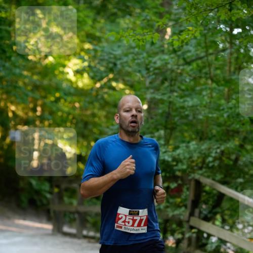 28.09.2025 - 33. Volkslauf durch das schöne Alstertal Patografie http://msf.ph/oto/8966164 28.09.2025 09:30:37 Laufen 2577 meine-sportfotos.de