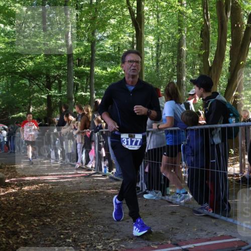 28.09.2025 - 33. Volkslauf durch das schöne Alstertal Strokosch-Dieckow http://msf.ph/oto/8966165 28.09.2025 11:32:26 Ziel 3069, 3175, 3177 meine-sportfotos.de