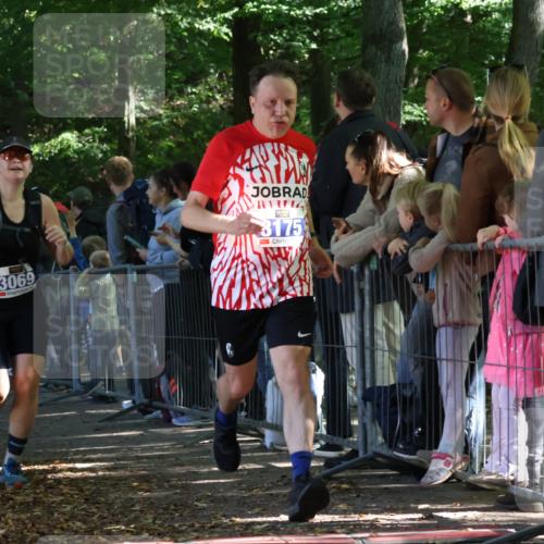 28.09.2025 - 33. Volkslauf durch das schöne Alstertal Strokosch-Dieckow http://msf.ph/oto/8966169 28.09.2025 11:32:27 Ziel 3069, 3175, 3217 meine-sportfotos.de