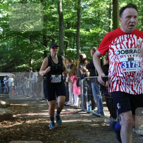 28.09.2025 - 33. Volkslauf durch das schöne Alstertal Strokosch-Dieckow http://msf.ph/oto/8966192 28.09.2025 11:32:29 Ziel 3069, 3141, 3175, 3217 meine-sportfotos.de
