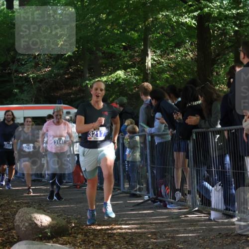 28.09.2025 - 33. Volkslauf durch das schöne Alstertal Strokosch-Dieckow http://msf.ph/oto/8966209 28.09.2025 11:32:34 Ziel 3141, 3217, 3218, 3358, 3959 meine-sportfotos.de
